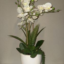 Fake Plant