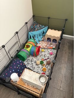 Guinea Pig Starter Kit (Supplies)