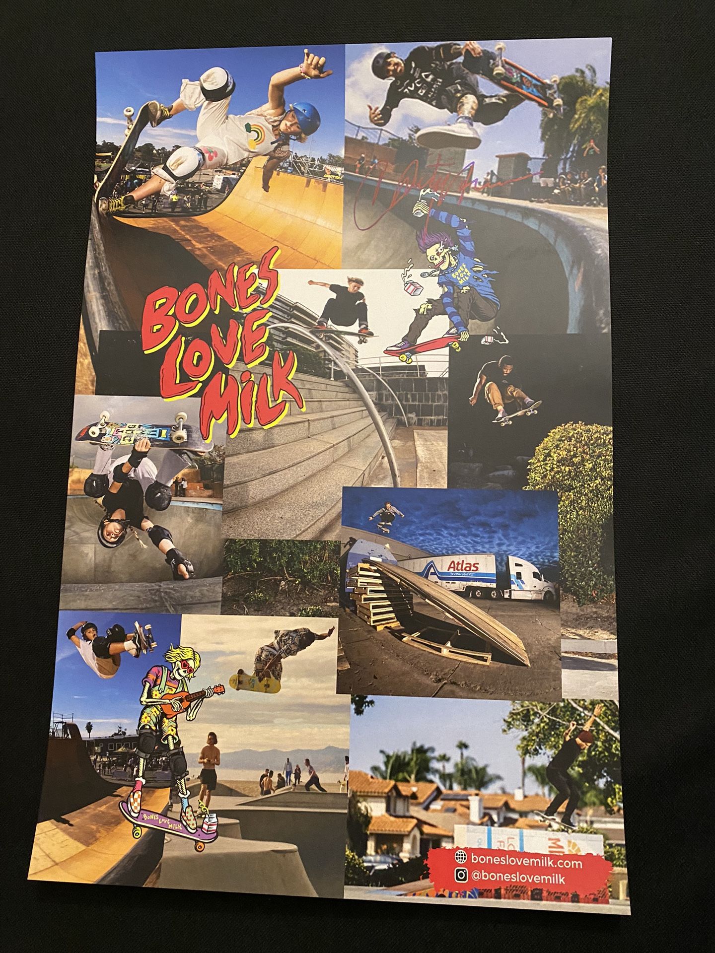 Christian Hosoi Signed Skateboard Poster Supreme Vans Tony Hawk