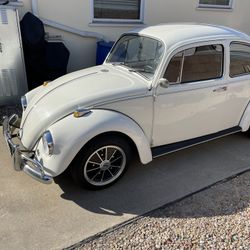 1967 Vw Beetle