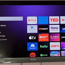Sony TV with Inbuilt DVD Player