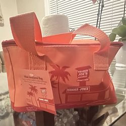Trader Joe's insulated bag