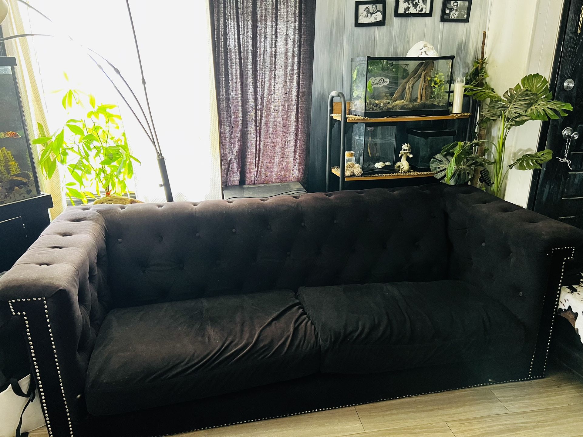 Black Couches