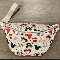 Holiday Disney Inspired Fanny