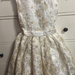 beautiful girl's dress