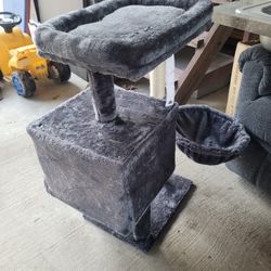Para Gatos 