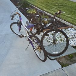 Free Bikes And Weights 