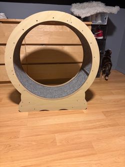 Cat Wheel