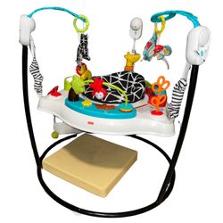Fisher-Price Animal Wonders Jumperoo