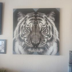 Tiger Picture 40" X 40" Big