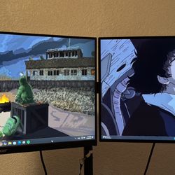 1080p 240hz Monitor & 4k 60hz Monitor 