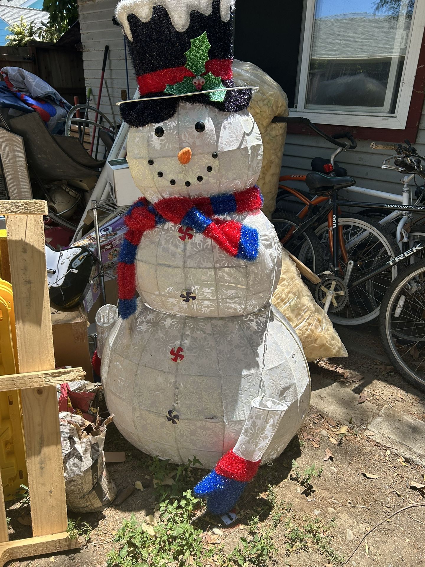 Free Snow Man