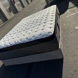 Queen Mattress (Sealy) Medium firm