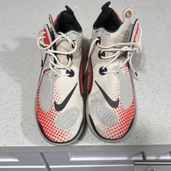 Shoe