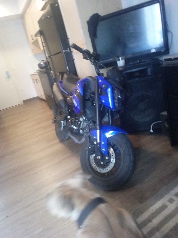 X-pro 125cc Vader Adult Motorcycle Gas Dirt Street Bike