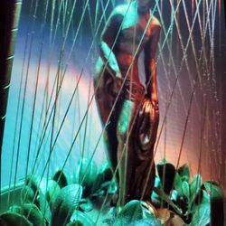 GREEK  GODDEST  MINERAL OIL RAIN LAMP 