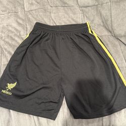 Mexico Jersey Shorts 