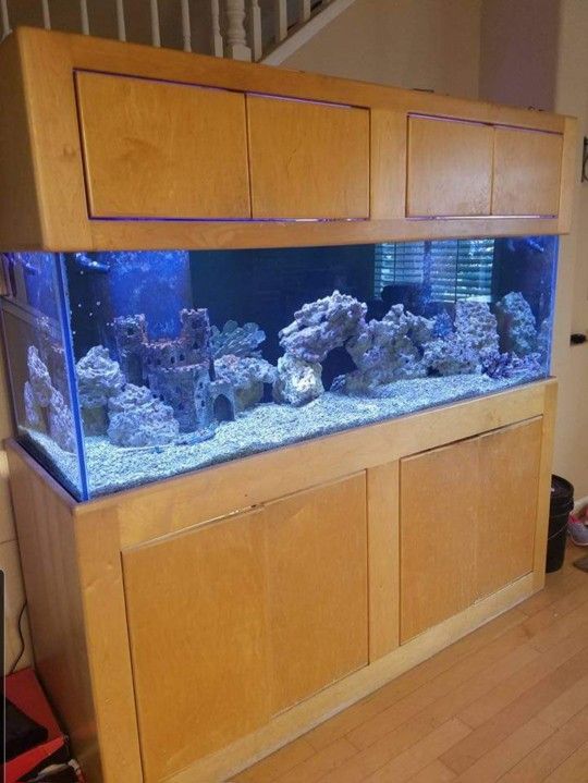 180gal Aquarium