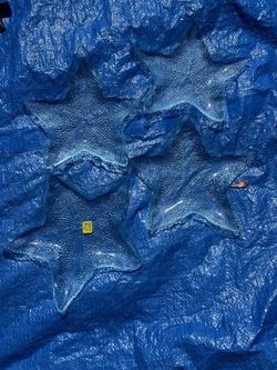 Set of 4 Star-Shaped plastic Plates