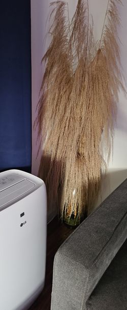 Large Pampas Grass In Larges Vase