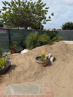 Clean dirt FREE