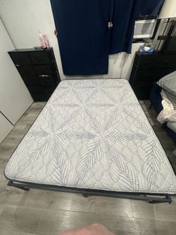 Sealys Queen Mattress