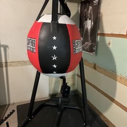 Boxing Bag With Stand 