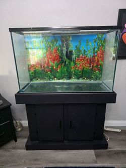 110 Gallon Aquarium *Must Pick Up*  $400