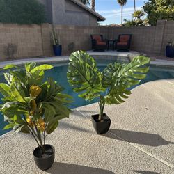 Artificial Plants / Fake Plant  / $50 Each / Small Artificial Tree / Office plant Home Decor 