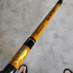 Ugly Stik Fishing Casting Rock Fish Rod