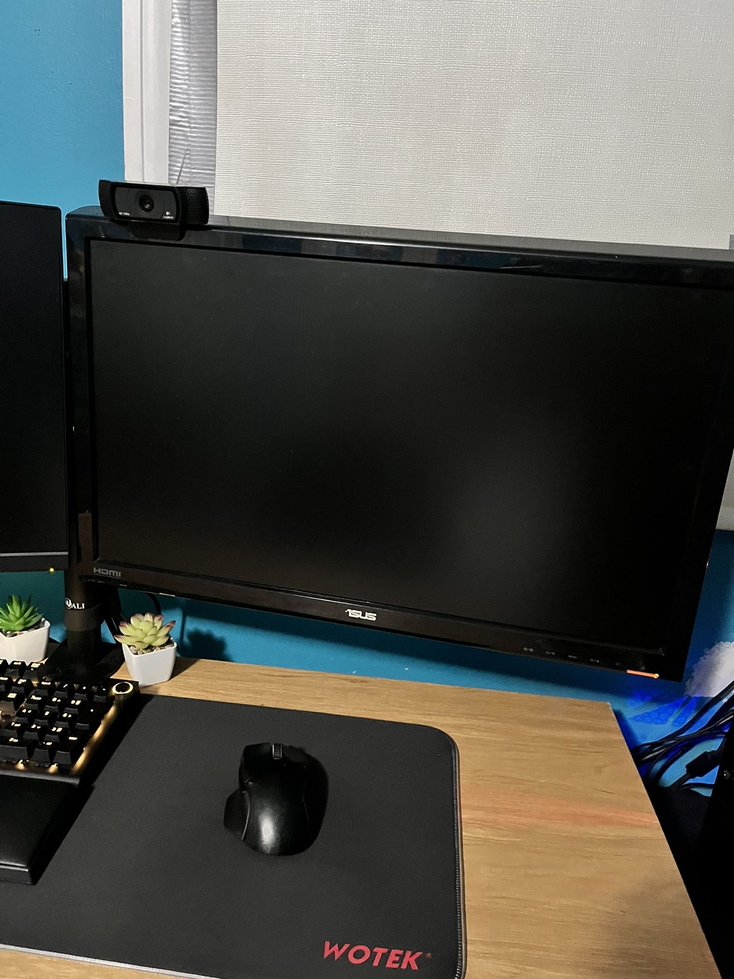 Asus gaming monitor 