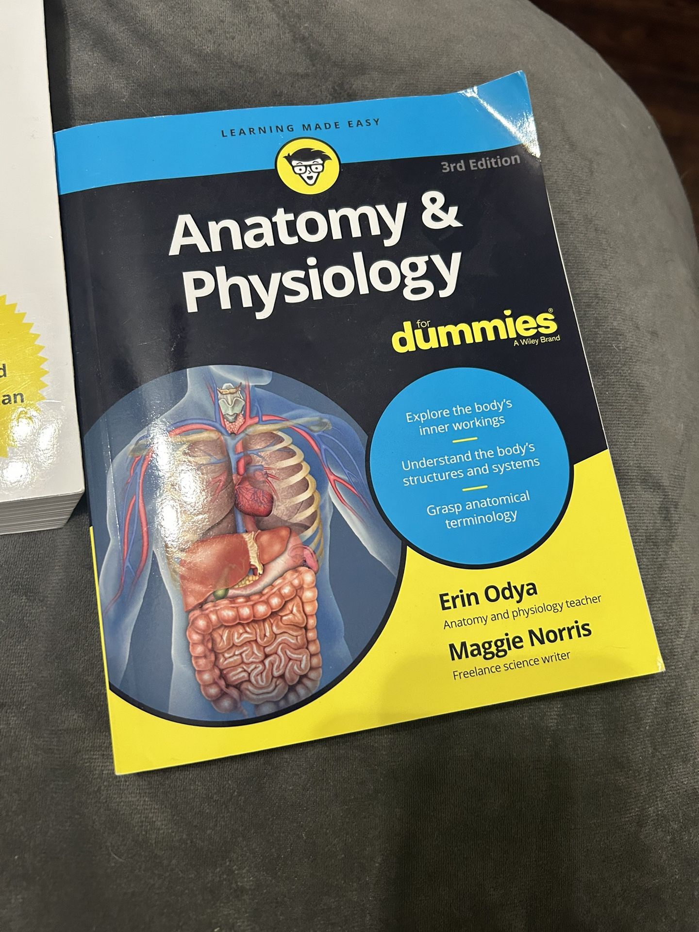 anatomy n physiology for dummies