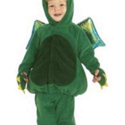 New soft flannel Dinosaur Dragon 2 pc costume 12-24 mth 