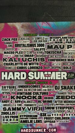 Hard Summer ViP