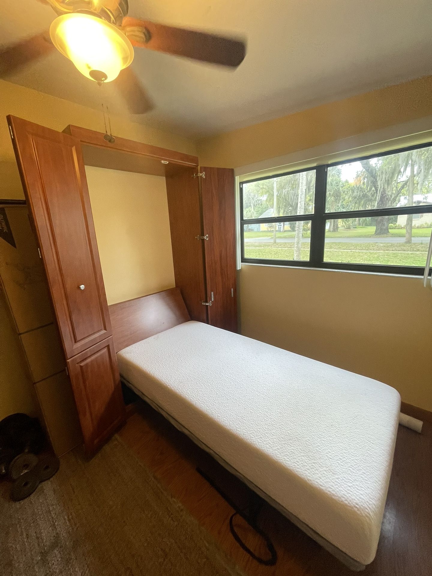 Murphy Bed and Matching Wardrobe Closet