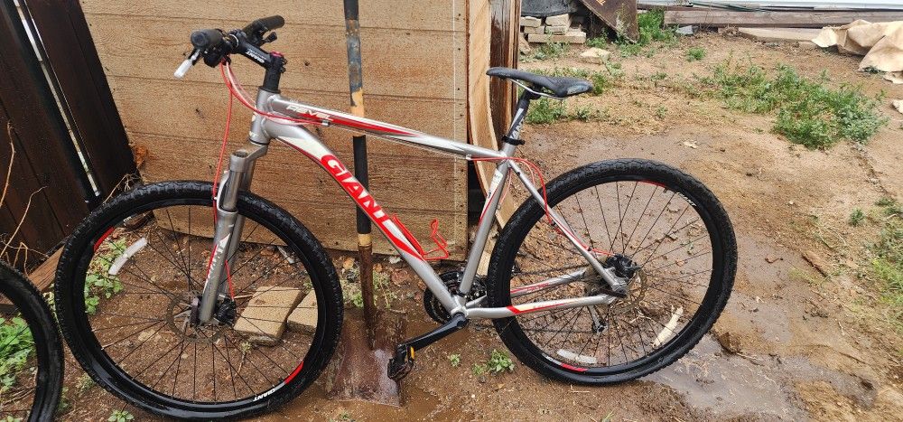Giant 29er Mountain Bike