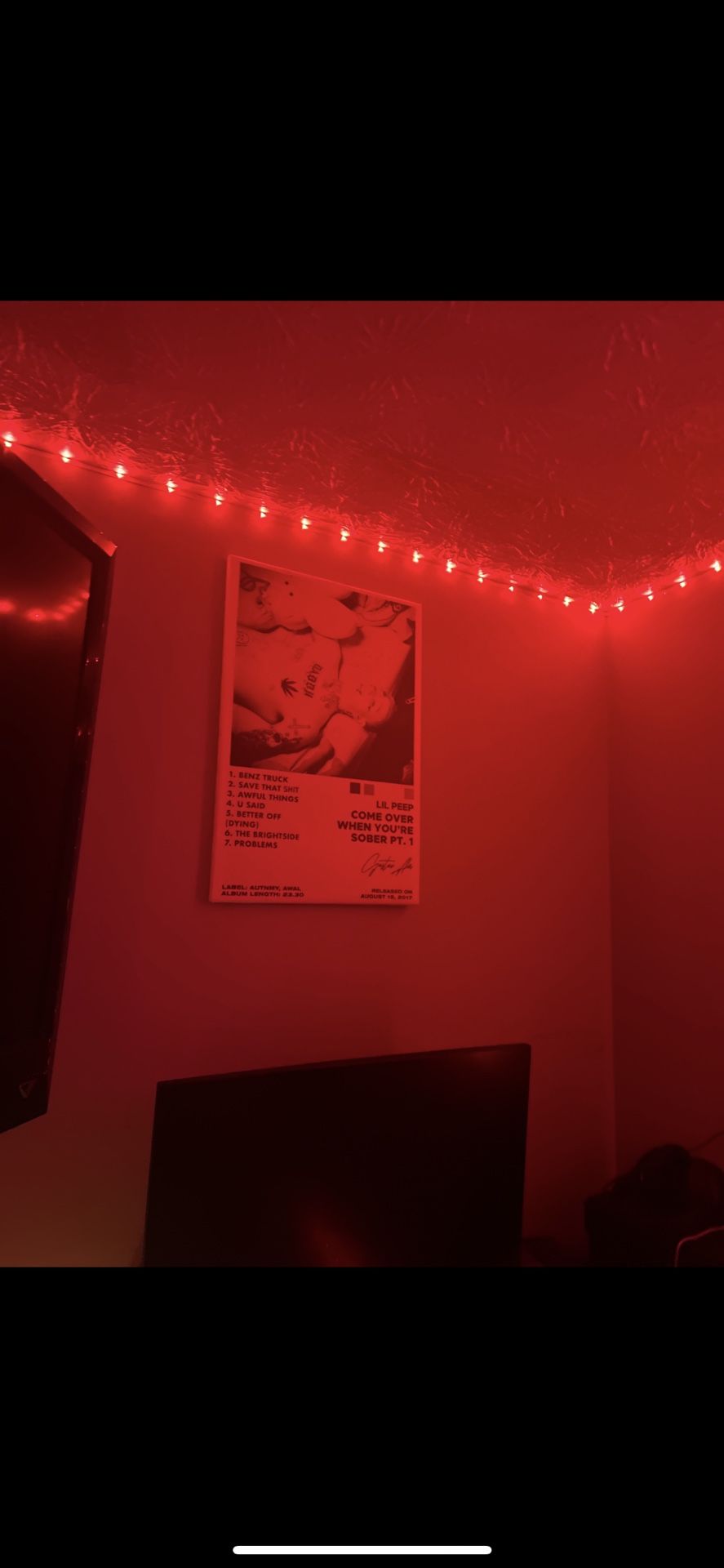 Lil Peep Album Cover Canvas