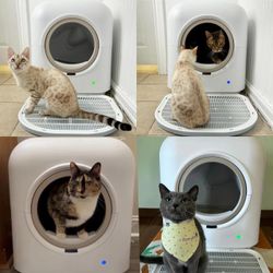 Automatic Smart Cat Litter Box $150 And Pet Water Purifier $25
