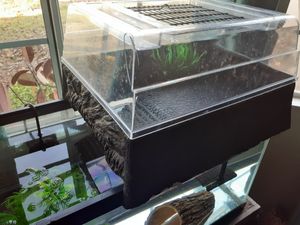 New And Used Fish Tank Decorations For Sale In Alhambra Ca Offerup