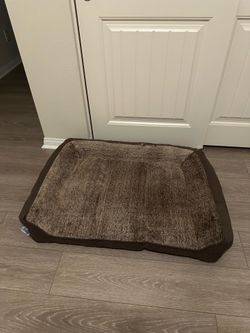 Sealy Dog bed