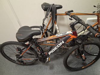 $50 Or BEST OFFER Pigeon FG300 Mountain bike 21 speed