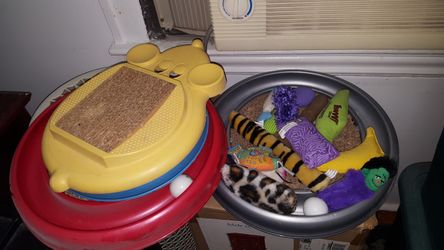 Cat toys and scratchers