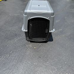 Doge Crate 