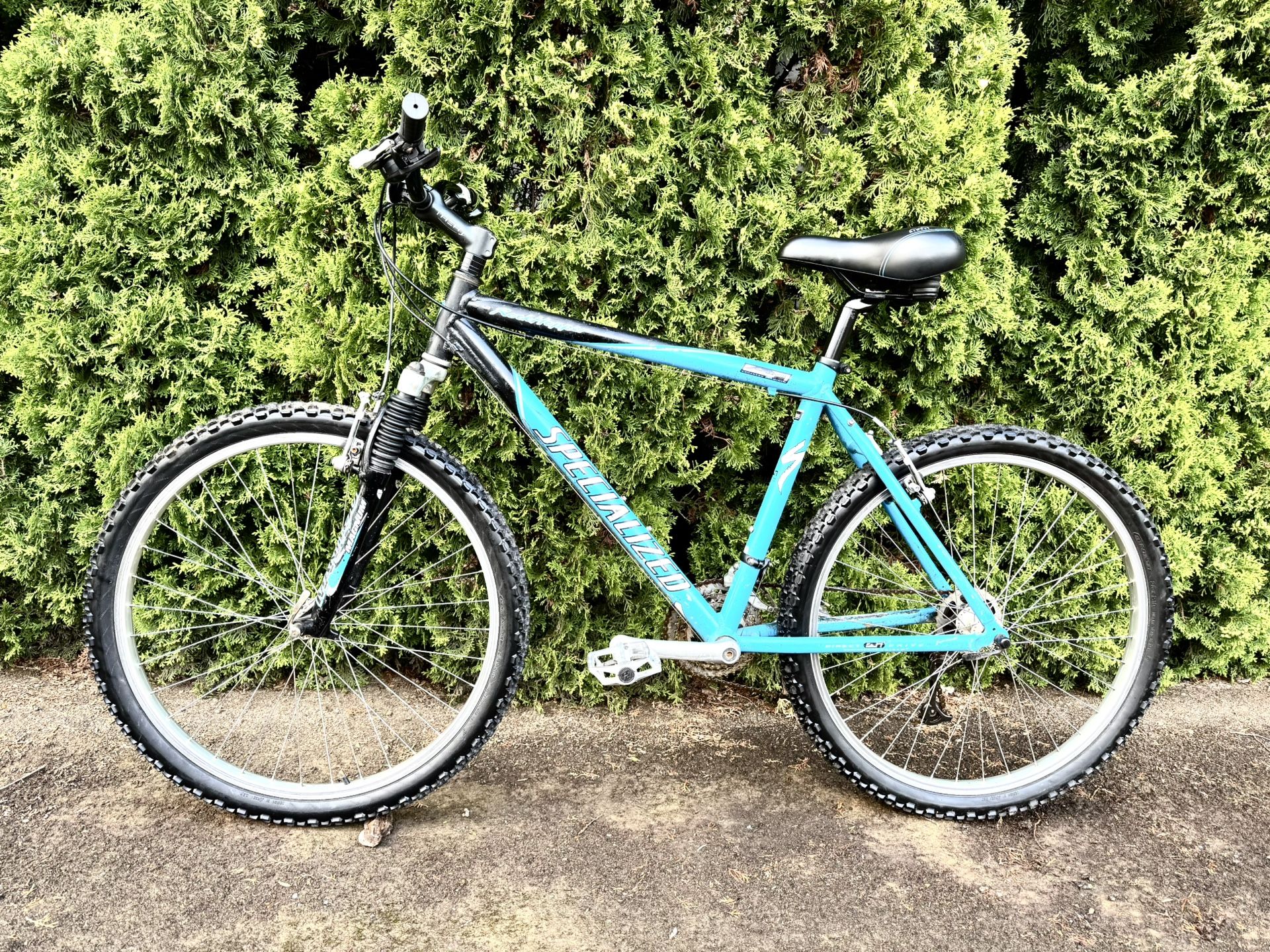 Large Specialized Mtn Bike