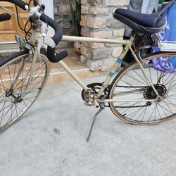 Vintage Nikishi Bike