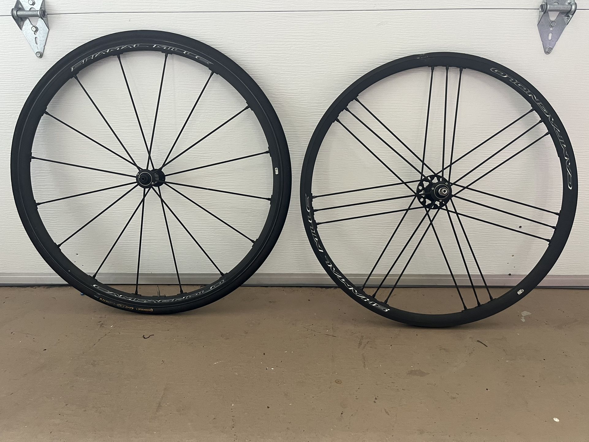 Campagnolo shamal Mille C17