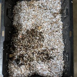 Worm Farm