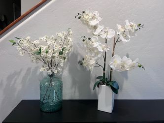 Decorative plants and vases