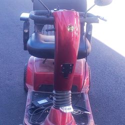 Golden Champion 3 Wheel