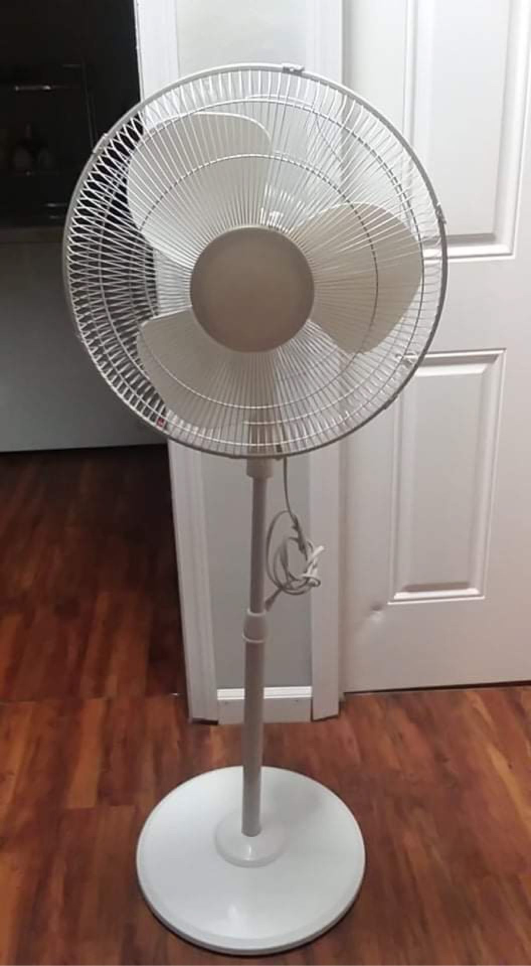 Oscillating Fan